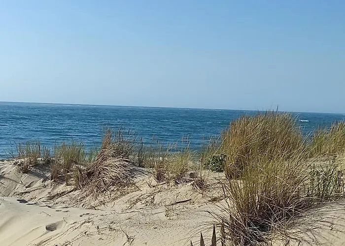 Et Les Abatilles 아파트 *