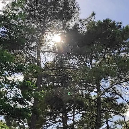 Et Les Abatilles Lägenhet *