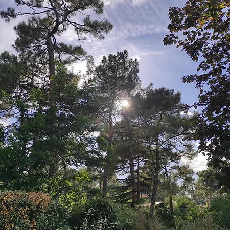 Et Les Abatilles Lägenhet Arcachon
