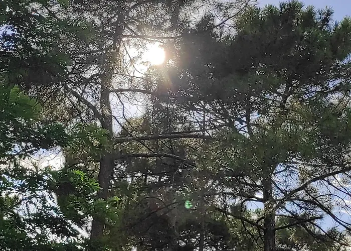 Et Les Abatilles Lejlighed *