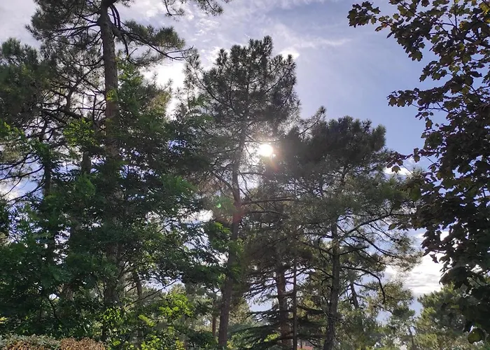 Et Les Abatilles Lejlighed Arcachon